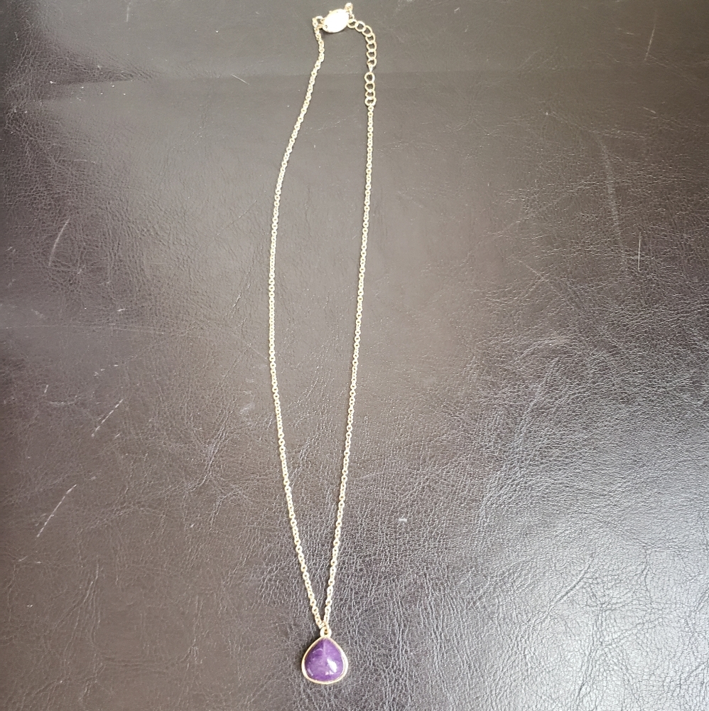 Charming Charlie Necklace